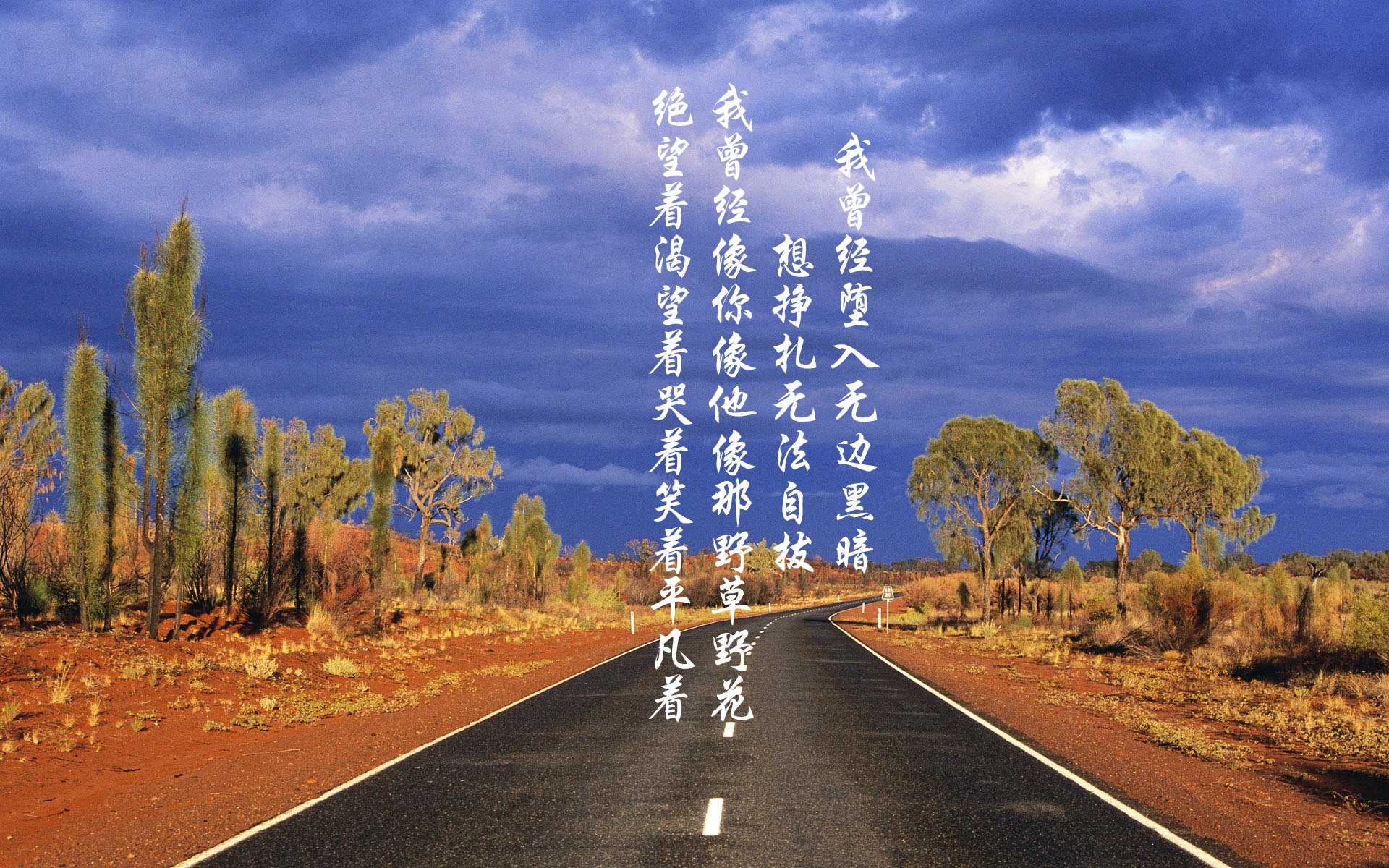 太阳能板成本（太阳能板制造成本）