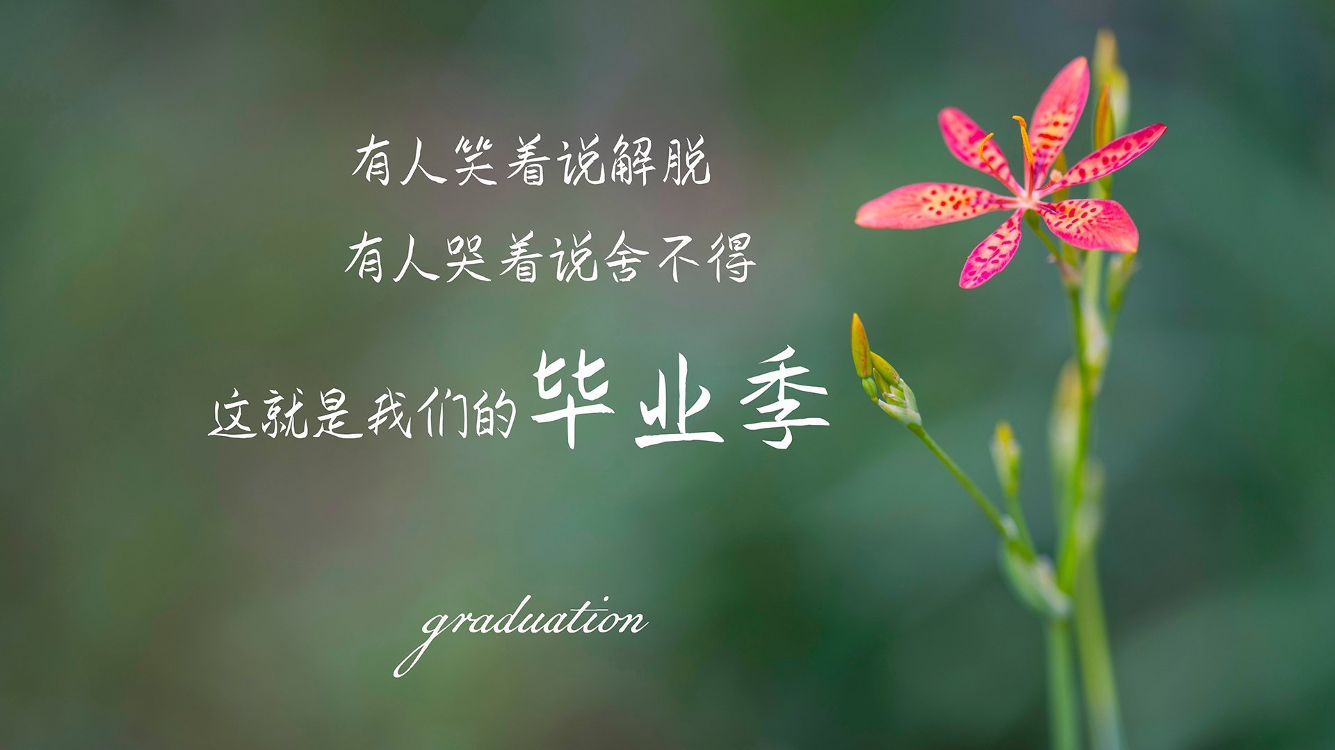 太阳能板最好的品牌(太阳能板十大名牌排名)